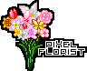 PIXEL FLORIST